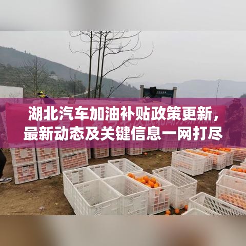 湖北汽车加油补贴政策更新,最新动态及关键信息一网打尽!