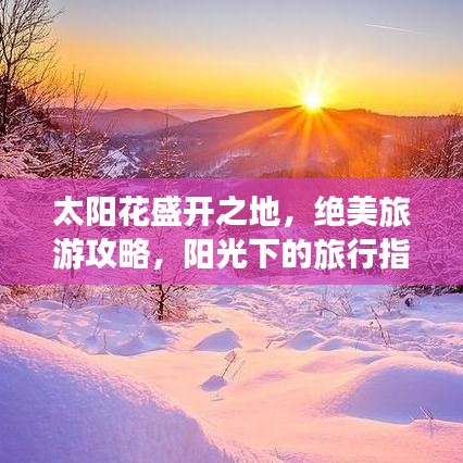 太阳花盛开之地,绝美旅游攻略,阳光下的旅行指南