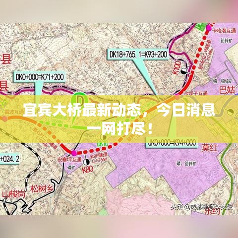 宜宾大桥最新动态,今日消息一网打尽!