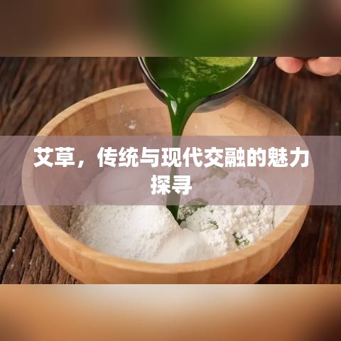 艾草,传统与现代交融的魅力探寻