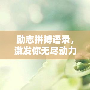 励志拼搏语录，激发你无尽动力！