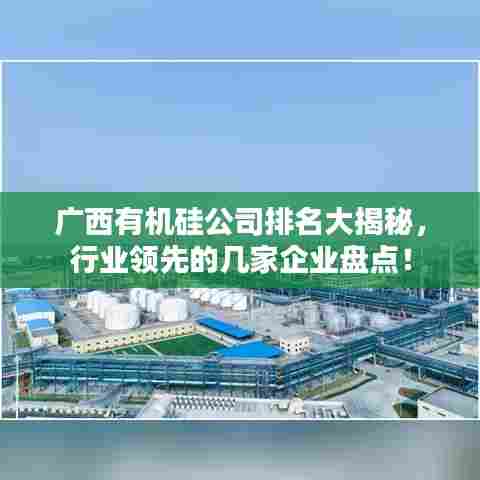 广西有机硅公司排名大揭秘,行业领先的几家企业盘点!