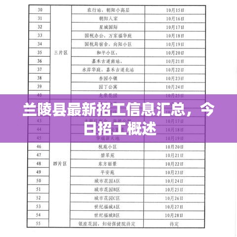 兰陵县最新招工信息汇总,今日招工概述