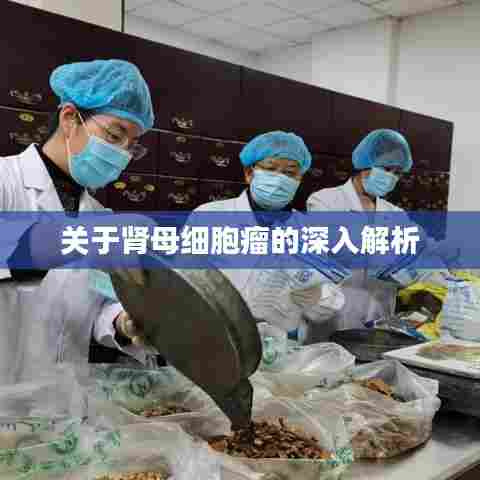 关于肾母细胞瘤的深入解析