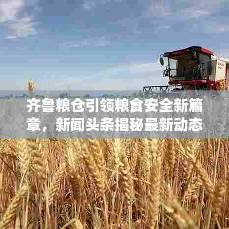 齐鲁粮仓引领粮食安全新篇章,新闻头条揭秘最新动态