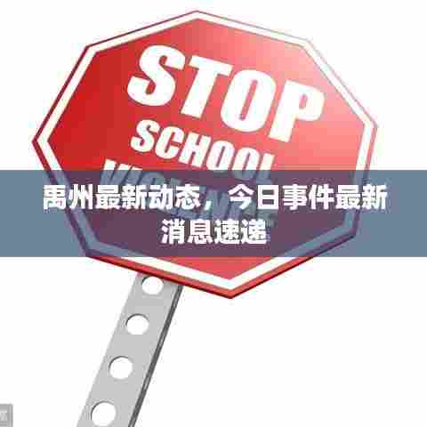 禹州最新动态,今日事件最新消息速递