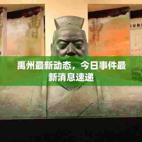 禹州最新动态,今日事件最新消息速递