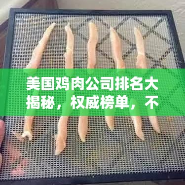 美国鸡肉公司排名大揭秘，权威榜单，不容错过！