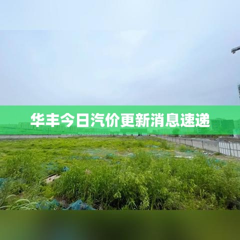 华丰今日汽价更新消息速递