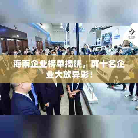 海南企业榜单揭晓,前十名企业大放异彩!