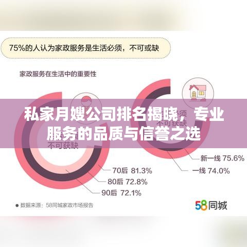 私家月嫂公司排名揭晓,专业服务的品质与信誉之选