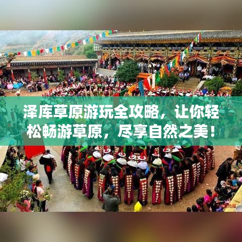 泽库草原游玩全攻略,让你轻松畅游草原,尽享自然之美!