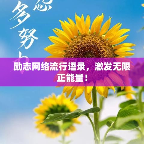 励志网络流行语录,激发无限正能量!