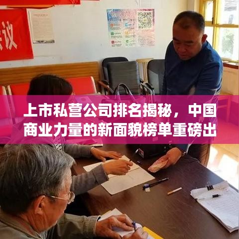 上市私营公司排名揭秘,中国商业力量的新面貌榜单重磅出炉!