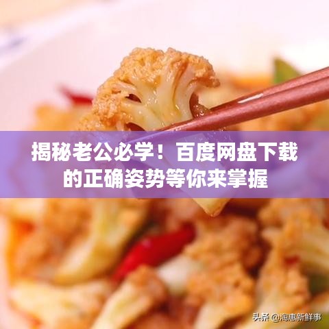 揭秘老公必学!百度网盘下载的正确姿势等你来掌握