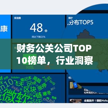 财务公关公司TOP10榜单,行业洞察与深度分析揭秘