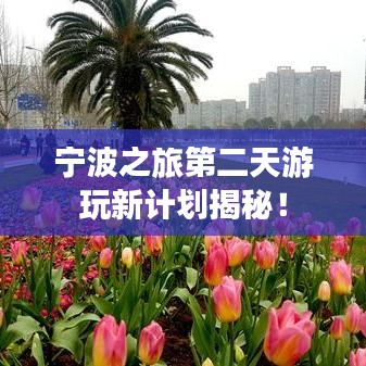 宁波之旅第二天游玩新计划揭秘！