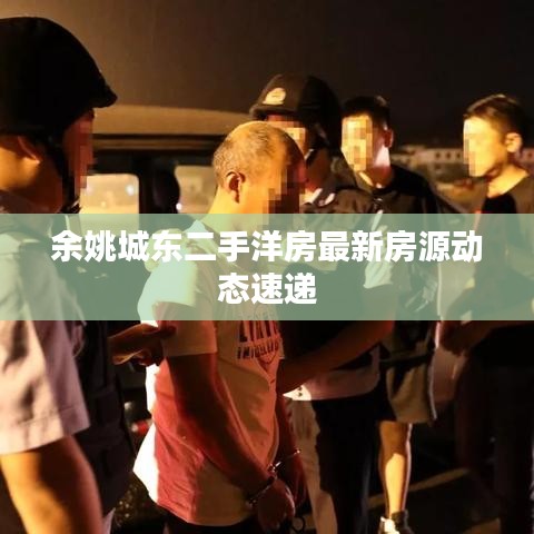 余姚城东二手洋房最新房源动态速递