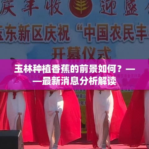 玉林种植香蕉的前景如何?——最新消息分析解读