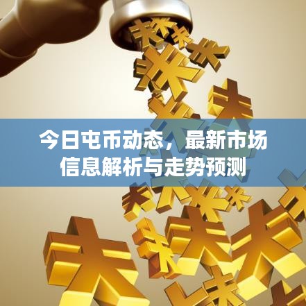 今日屯币动态,最新市场信息解析与走势预测