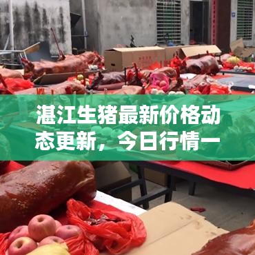 一张一翕 第3页