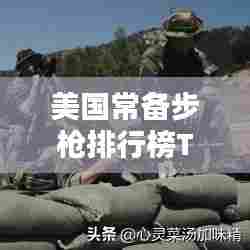 美国常备步枪排行榜TOP10,热门枪支一网打尽!