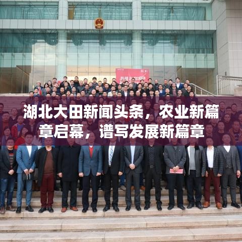 湖北大田新闻头条，农业新篇章启幕，谱写发展新篇章