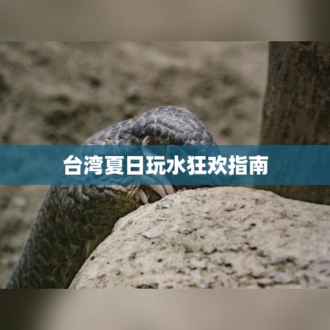 画地为牢 第3页