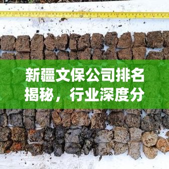 新疆文保公司排名揭秘,行业深度分析与前景展望