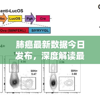肺癌最新数据今日发布，深度解读最新趋势与发现