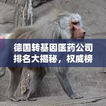 德国转基因医药公司排名大揭秘，权威榜单引领行业风向标！