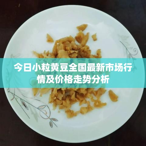 今日小粒黄豆全国最新市场行情及价格走势分析