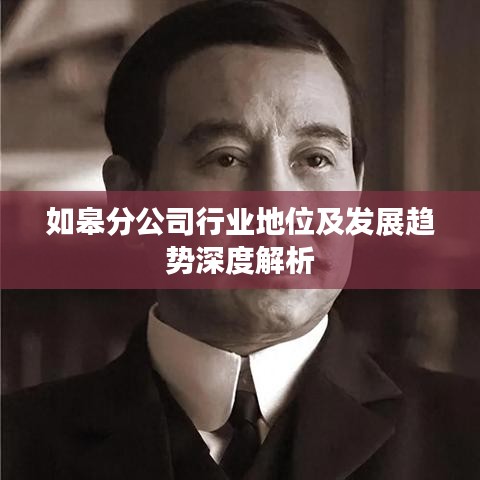 如皋分公司行业地位及发展趋势深度解析