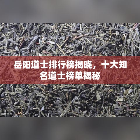 岳阳道士排行榜揭晓,十大知名道士榜单揭秘