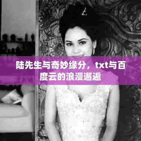 陆先生与奇妙缘分,txt与百度云的浪漫邂逅