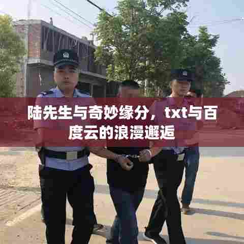 陆先生与奇妙缘分,txt与百度云的浪漫邂逅