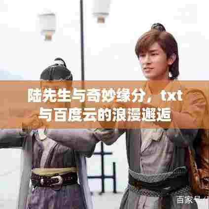 陆先生与奇妙缘分,txt与百度云的浪漫邂逅