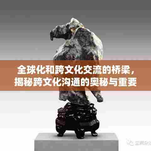 全球化和跨文化交流的桥梁，揭秘跨文化沟通的奥秘与重要性