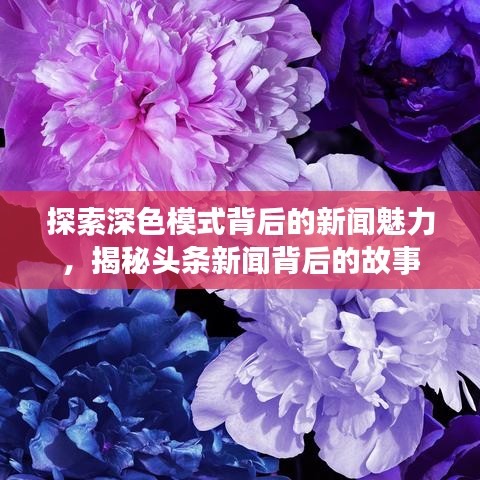 探索深色模式背后的新闻魅力，揭秘头条新闻背后的故事