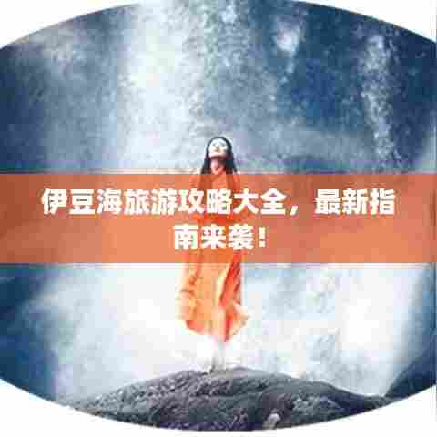 伊豆海旅游攻略大全，最新指南来袭！