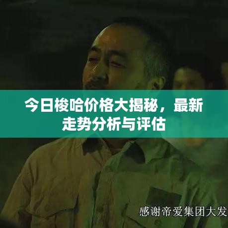 今日梭哈价格大揭秘,最新走势分析与评估