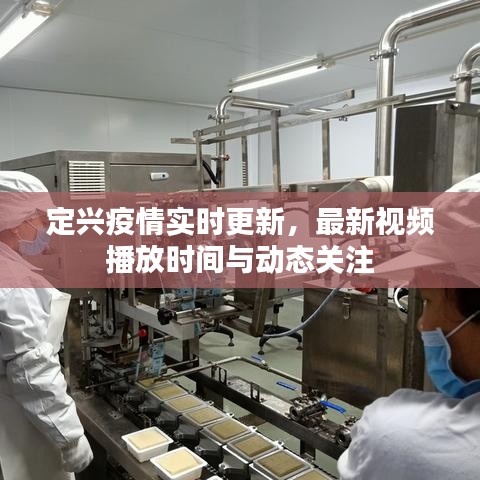定兴疫情实时更新,最新视频播放时间与动态关注
