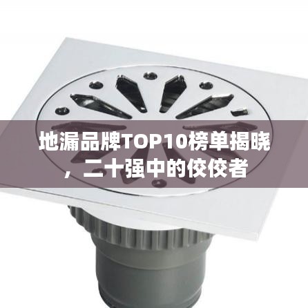 地漏品牌TOP10榜单揭晓，二十强中的佼佼者