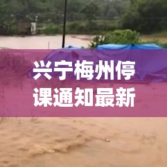 兴宁梅州停课通知最新消息，家长和学生必看！