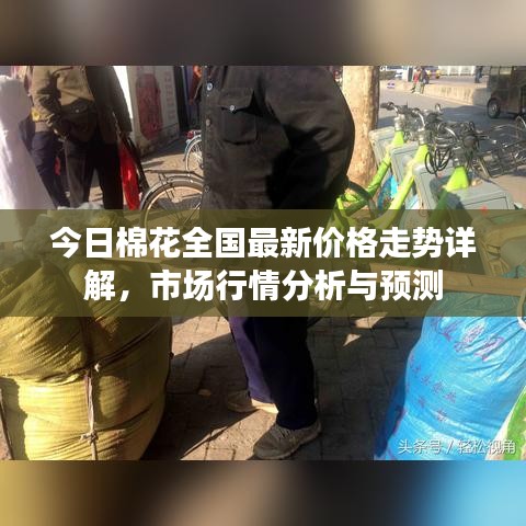 今日棉花全国最新价格走势详解,市场行情分析与预测