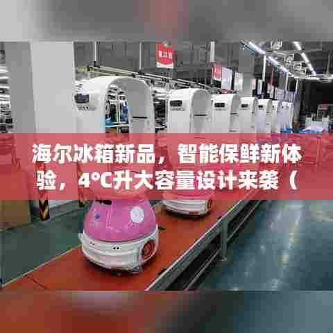 海尔冰箱新品，智能保鲜新体验，4℃升大容量设计来袭（2024年新款）
