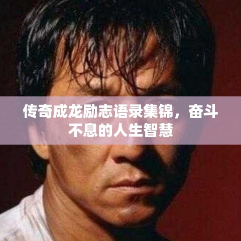 传奇成龙励志语录集锦,奋斗不息的人生智慧