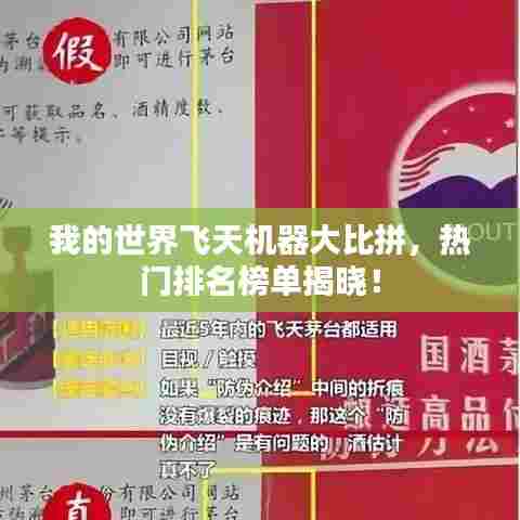 我的世界飞天机器大比拼，热门排名榜单揭晓！