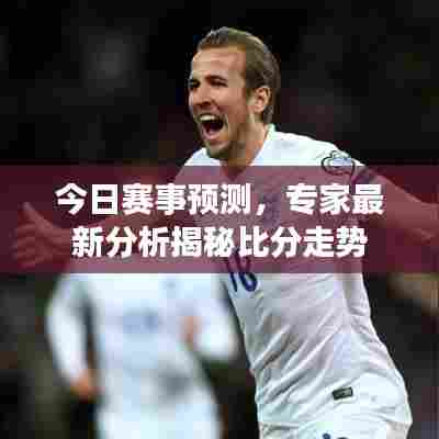 今日赛事预测,专家最新分析揭秘比分走势
