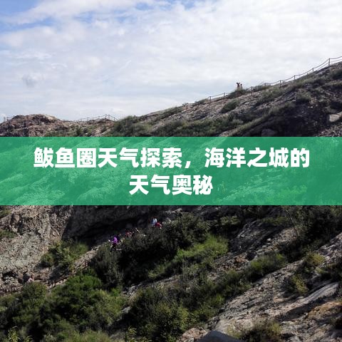 鲅鱼圈天气探索，海洋之城的天气奥秘